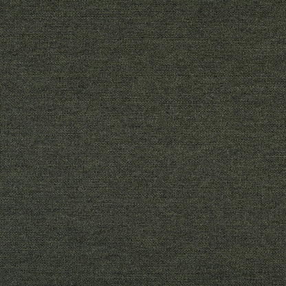 TRH5881 Solid Outdoor Acrylic Canvas swatch, colorway TRH5881.BG (green)