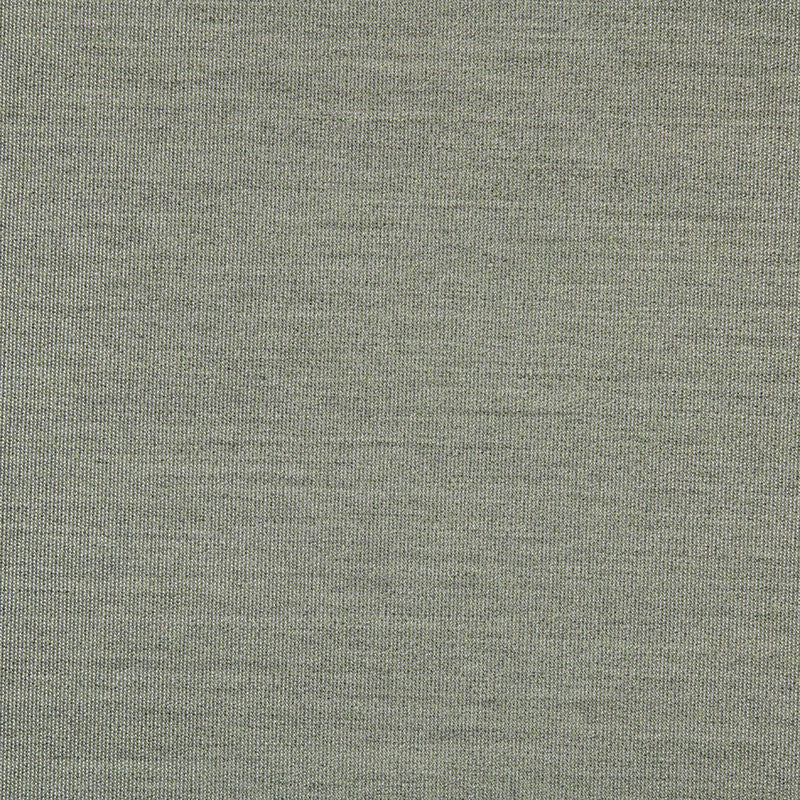 TRH5881 Solid Outdoor Acrylic Canvas swatch, colorway TRH5881.BH (green)