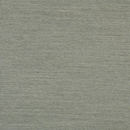 TRH5881 Solid Outdoor Acrylic Canvas swatch, colorway TRH5881.BH (green)