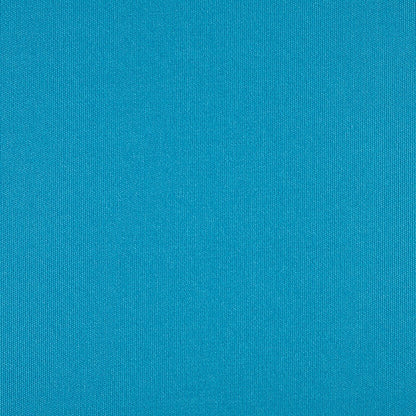 TRH5881 Solid Outdoor Acrylic Canvas swatch, colorway TRH5881.BJ (blue)