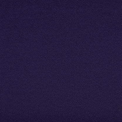 TRH5881 Solid Outdoor Acrylic Canvas swatch, colorway TRH5881.BK (purple)