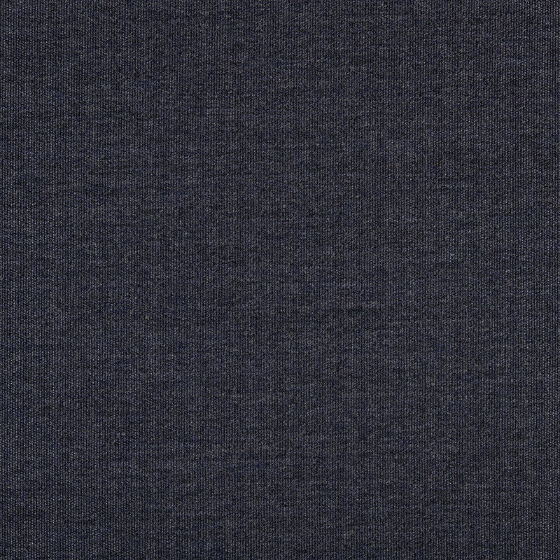 TRH5881 Solid Outdoor Acrylic Canvas swatch, colorway TRH5881.BL (blue)
