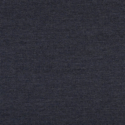 TRH5881 Solid Outdoor Acrylic Canvas swatch, colorway TRH5881.BL (blue)