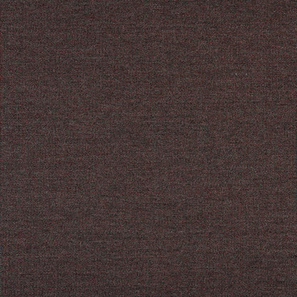TRH5881 Solid Outdoor Acrylic Canvas swatch, colorway TRH5881.BN (red)