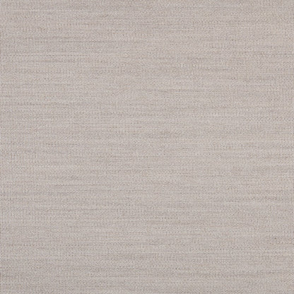 TRH5881 Solid Outdoor Acrylic Canvas swatch, colorway TRH5881.D (neutral)