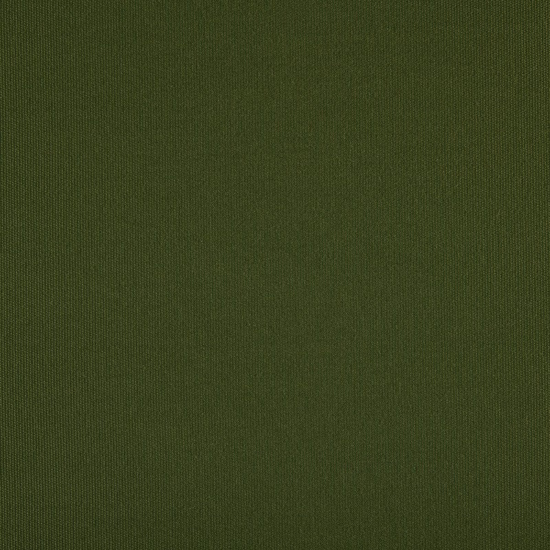 TRH5881 Solid Outdoor Acrylic Canvas swatch, colorway TRH5881.F (green)