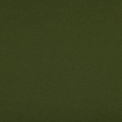 TRH5881 Solid Outdoor Acrylic Canvas swatch, colorway TRH5881.F (green)
