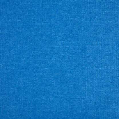 TRH5881 Solid Outdoor Acrylic Canvas swatch, colorway TRH5881.H (blue)