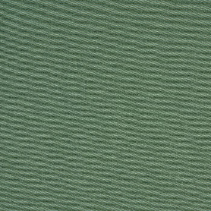 TRH5881 Solid Outdoor Acrylic Canvas swatch, colorway TRH5881.L (green)