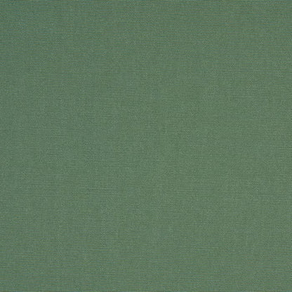 TRH5881 Solid Outdoor Acrylic Canvas swatch, colorway TRH5881.L (green)