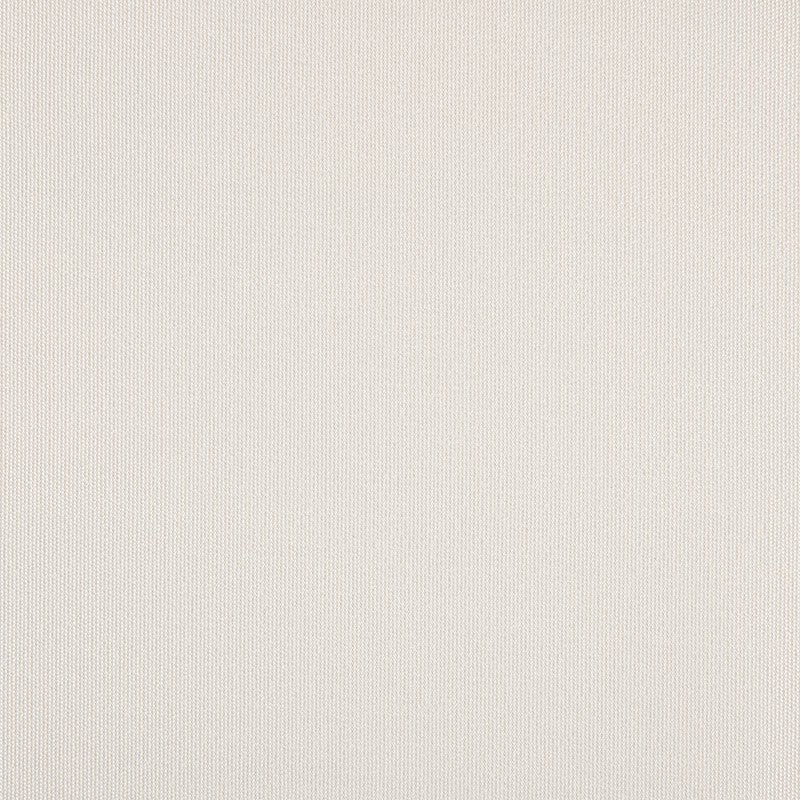 TRH5881 Solid Outdoor Acrylic Canvas swatch, colorway TRH5881.N (neutral)