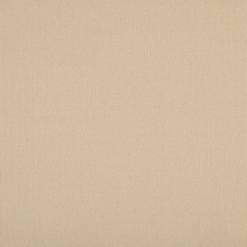 TRH5881 Solid Outdoor Acrylic Canvas swatch, colorway TRH5881.O (neutral, white)