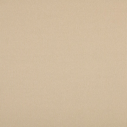 TRH5881 Solid Outdoor Acrylic Canvas swatch, colorway TRH5881.O (neutral, white)