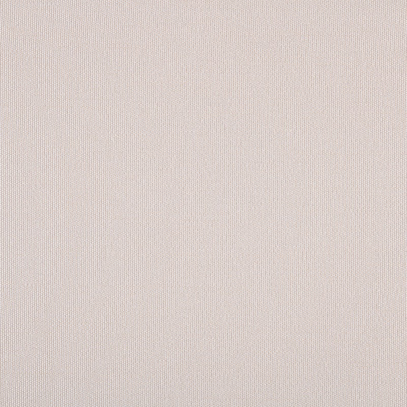 TRH5881 Solid Outdoor Acrylic Canvas swatch, colorway TRH5881.P (neutral, white)