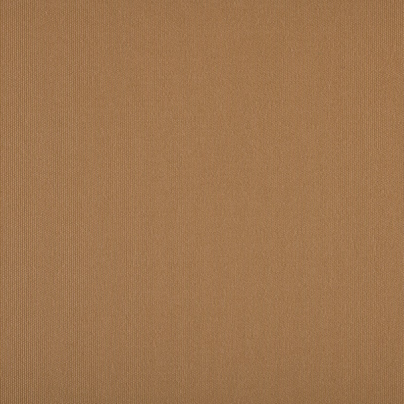 TRH5881 Solid Outdoor Acrylic Canvas swatch, colorway TRH5881.R (brown, neutral)