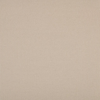 TRH5881 Solid Outdoor Acrylic Canvas swatch, colorway TRH5881.S (neutral)