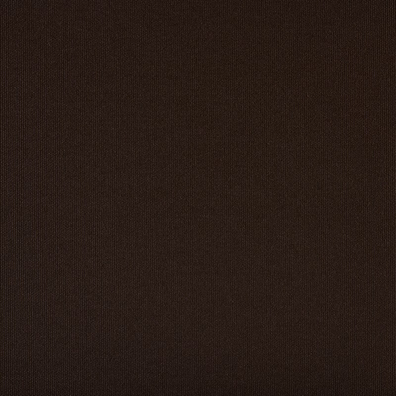TRH5881 Solid Outdoor Acrylic Canvas swatch, colorway TRH5881.Y (brown, neutral)