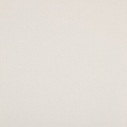 TRH5882 Solid Outdoor Acrylic Canvas 54-Inch swatch, colorway TRH5882.B (neutral)