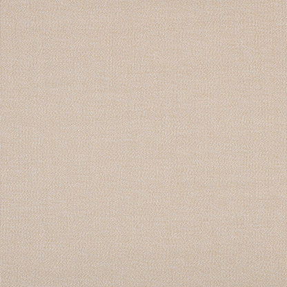 TRH5882 Solid Outdoor Acrylic Canvas 54-Inch swatch, colorway TRH5882.H (neutral)