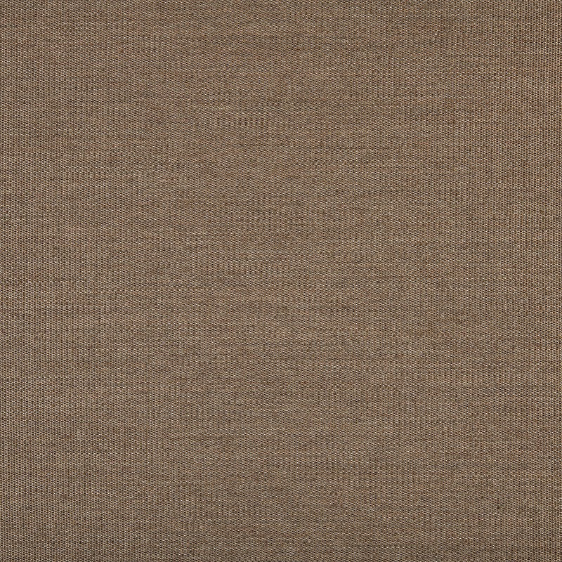 TRH5882 Solid Outdoor Acrylic Canvas 54-Inch swatch, colorway TRH5882.I (brown)