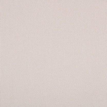TRH5882 Solid Outdoor Acrylic Canvas 54-Inch swatch, colorway TRH5882.K (neutral, white)