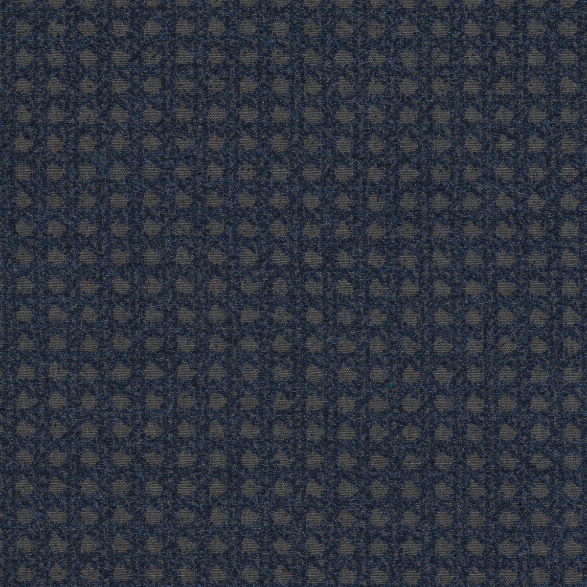 TRH5900 Dotted Grid Outdoor Fabric swatch, colorway TRH5900.F (blue)