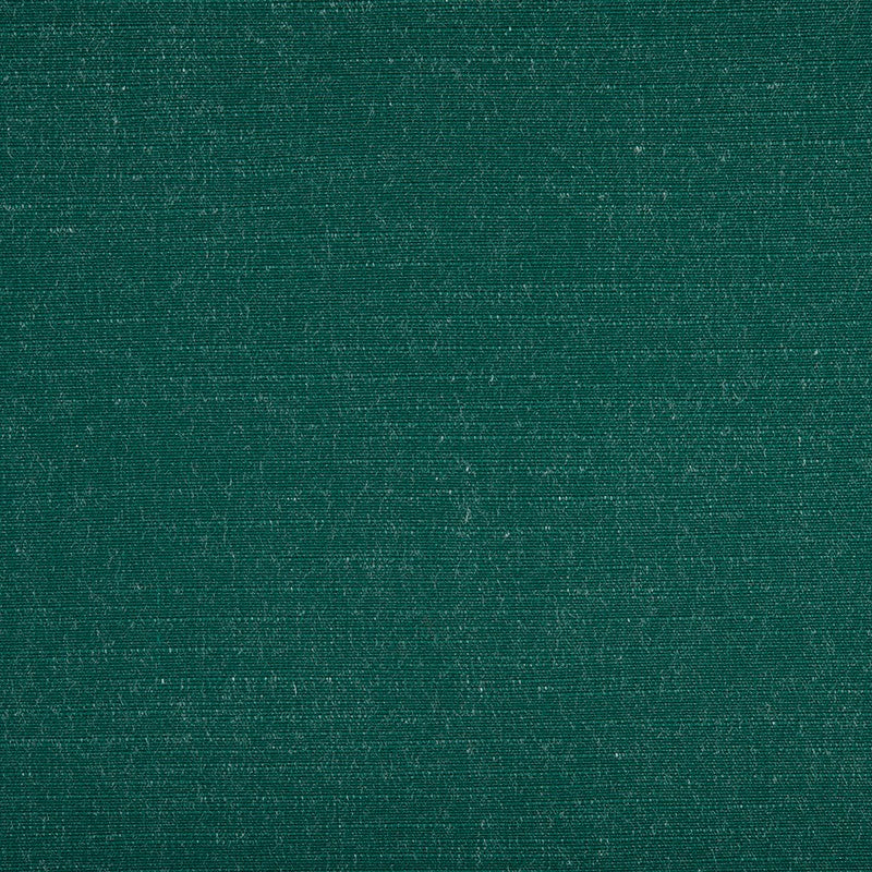 TRH5911 Slub-Texture Outdoor Weave swatch, colorway TRH5911.C (green)