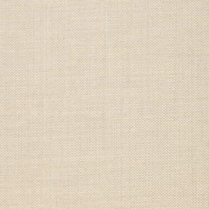 TRH5914 Smooth Plain-Weave Outdoor Fabric swatch, colorway TRH5914.H (neutral)