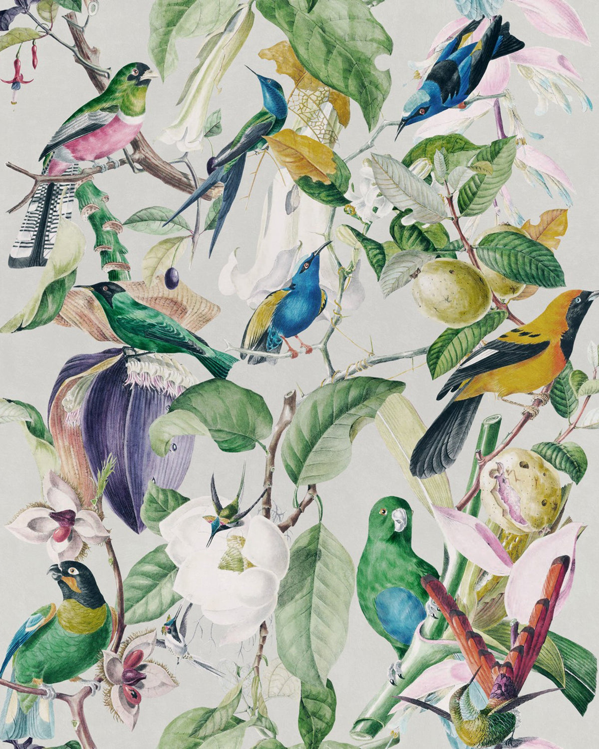 Tropical Birds Taupe, Blue wallpaper by MINDTHEGAP