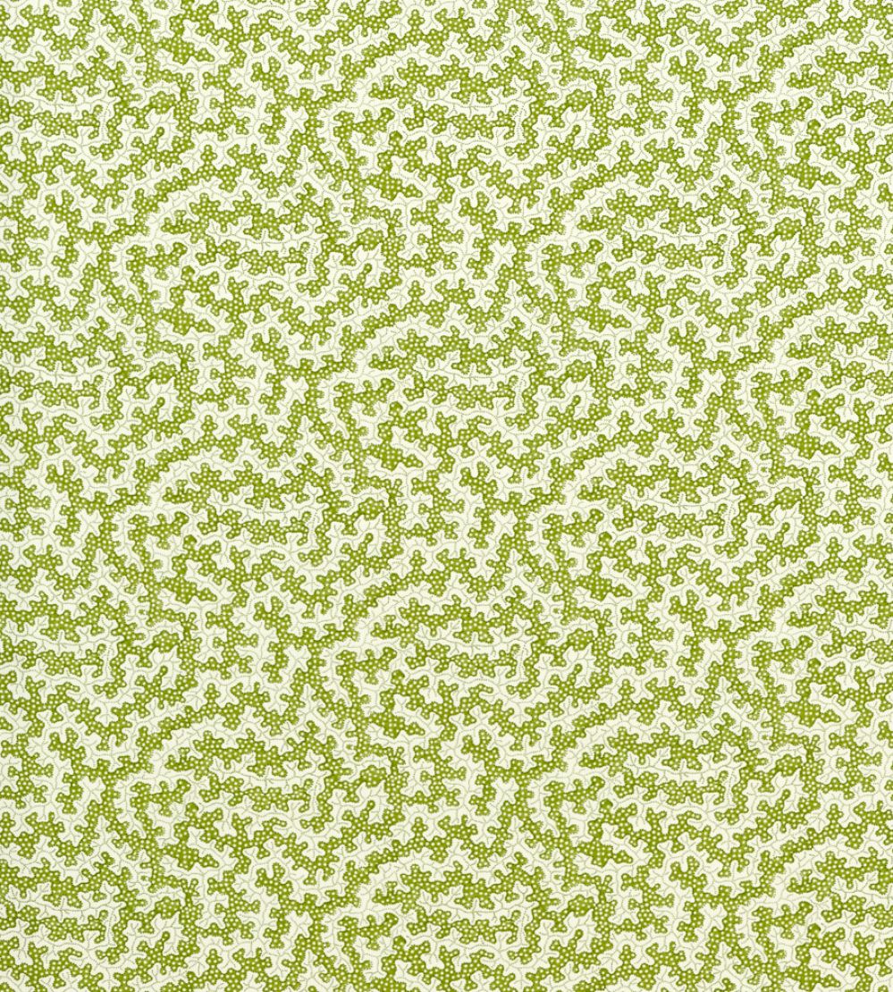 Truffle Outdoor Fabric by Sanderson Olive