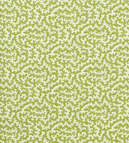Truffle Outdoor Fabric by Sanderson Olive