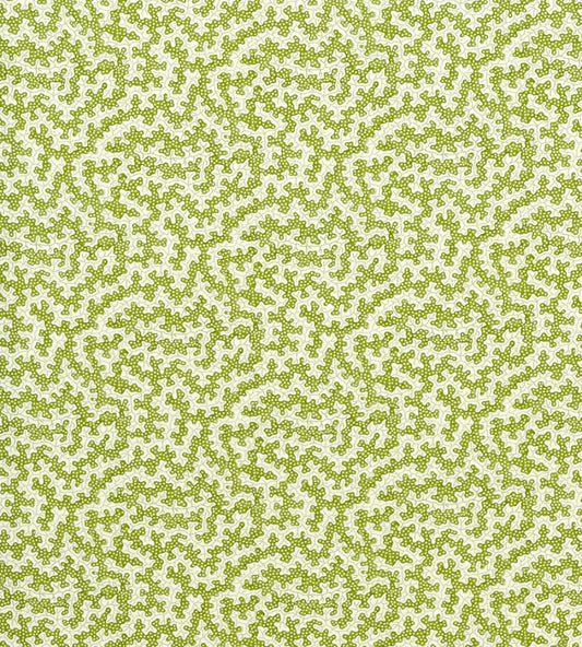 Truffle Outdoor Fabric by Sanderson Olive