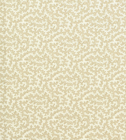 Truffle Outdoor Fabric by Sanderson Sand Dollar