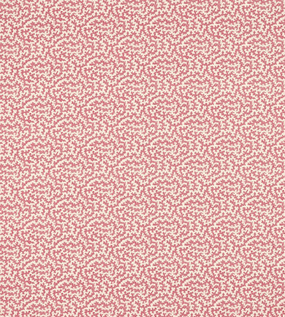 Truffle Fabric by Sanderson Damson