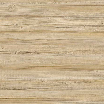 Truncus contract wallcovering by Coordonné in Beige/Nude 64960607, flat pattern view