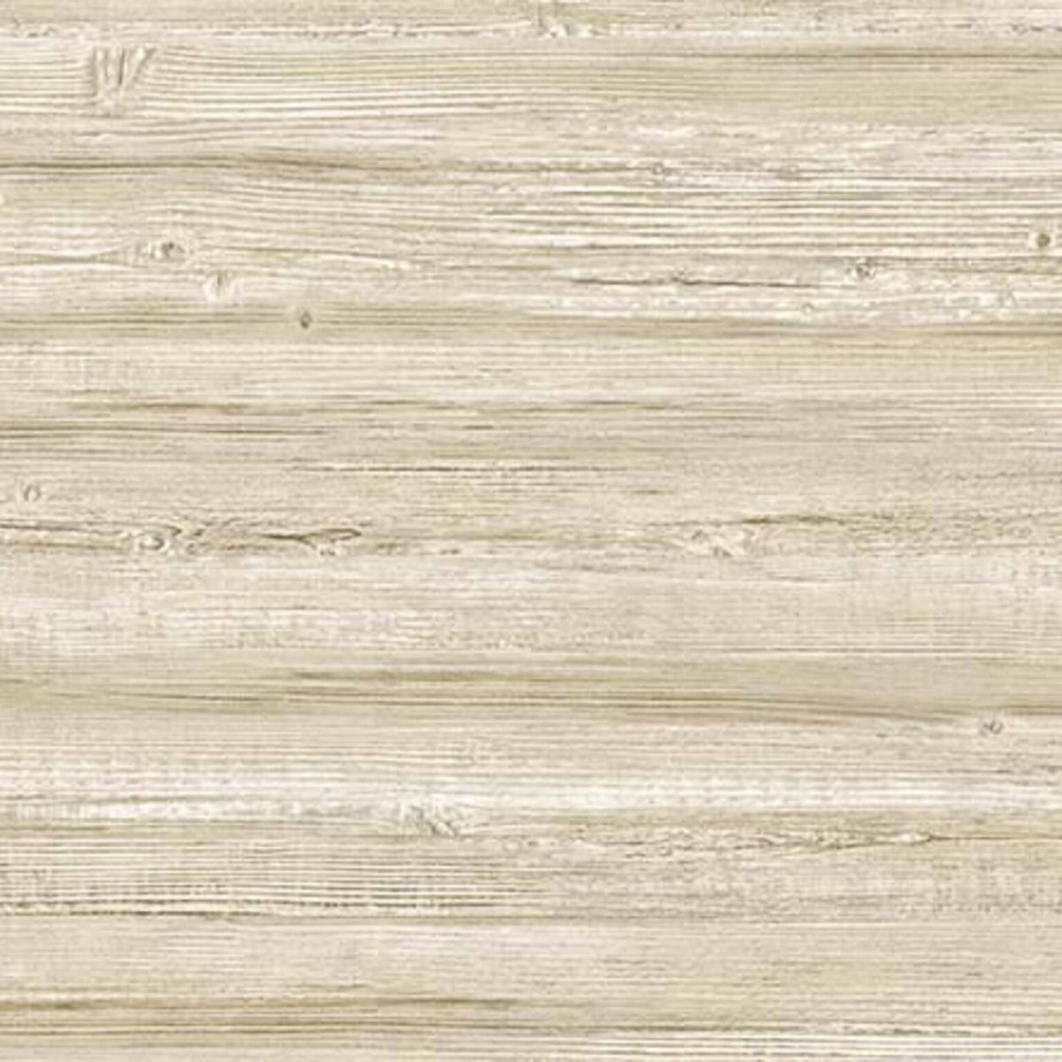 Truncus contract wallcovering by Coordonné in Beige/Nude 64960617, flat pattern view
