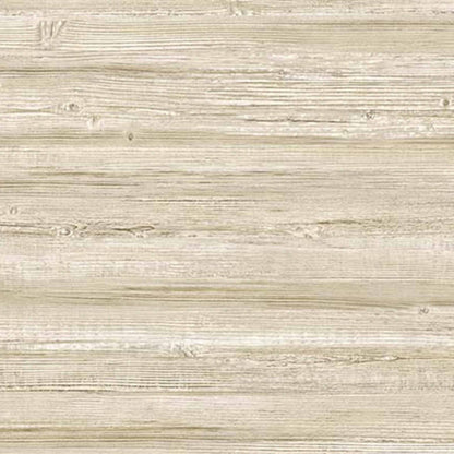 Truncus contract wallcovering by Coordonné in Beige/Nude 64960617, flat pattern view