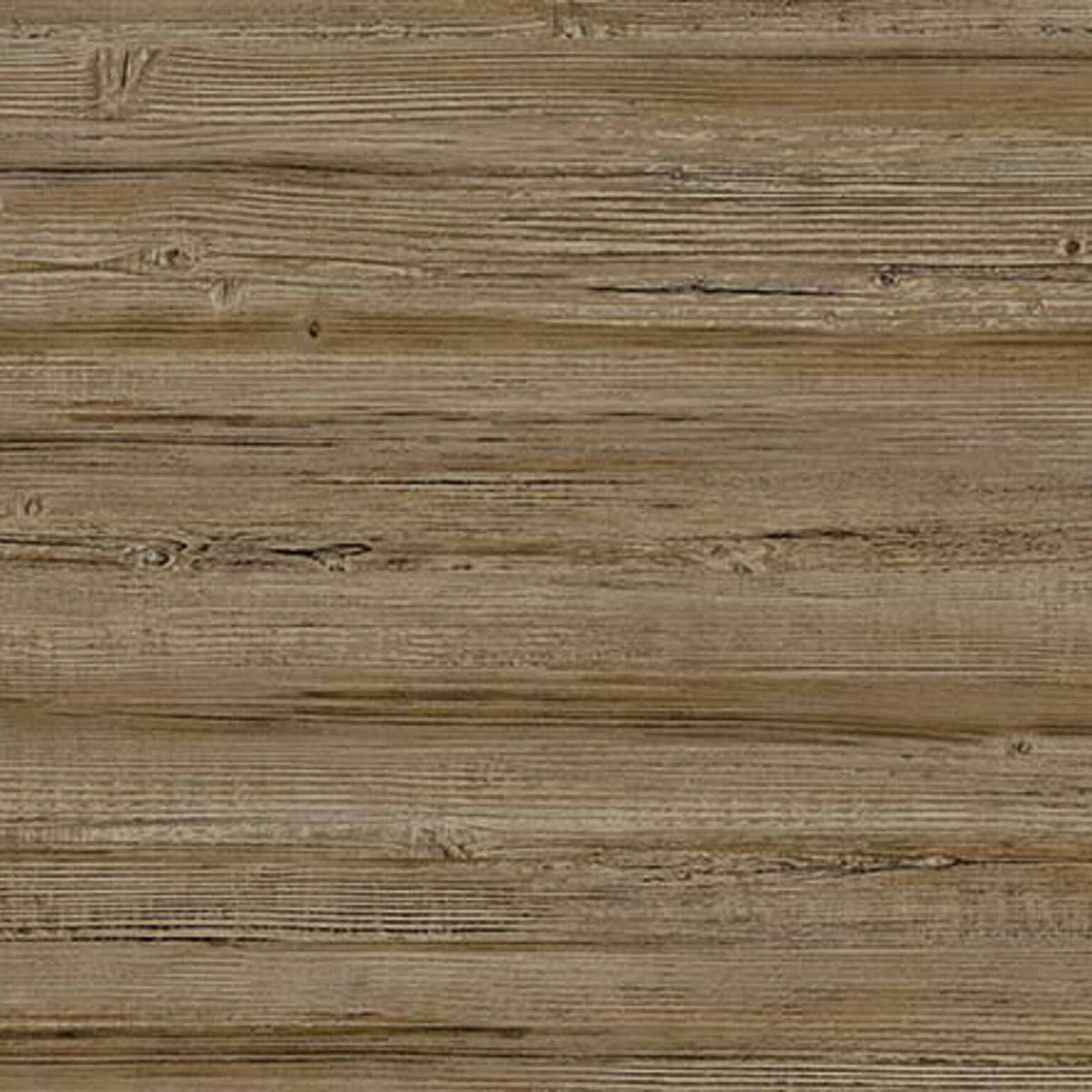 Truncus contract wallcovering by Coordonné in Brown 64960606, flat pattern view