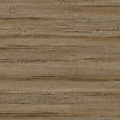 Truncus contract wallcovering by Coordonné in Brown 64960606, flat pattern view