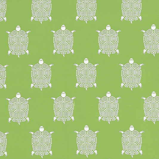 Turtle Bay Fabric by Thibaut in Kiwi (W81624)