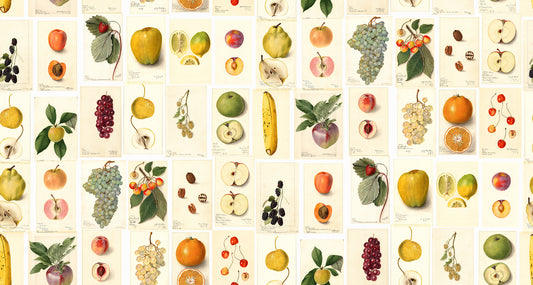 Tutti Frutti Vitamin mural by Bien Fait