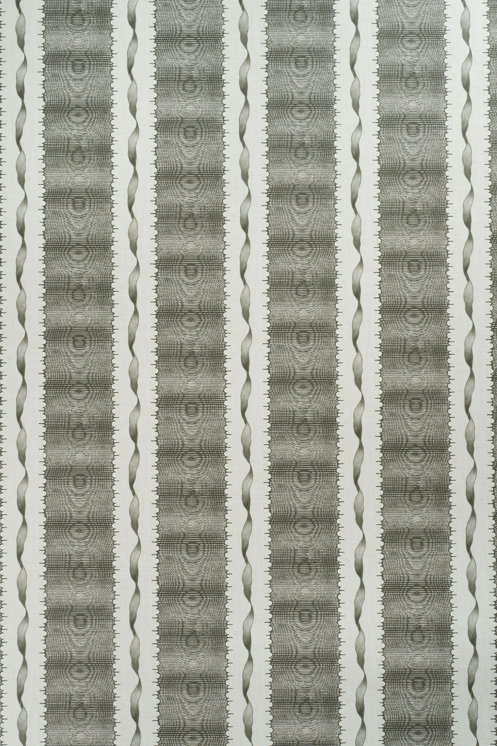 Twist & Shout Wallpaper by Jean Monro in Green Olive