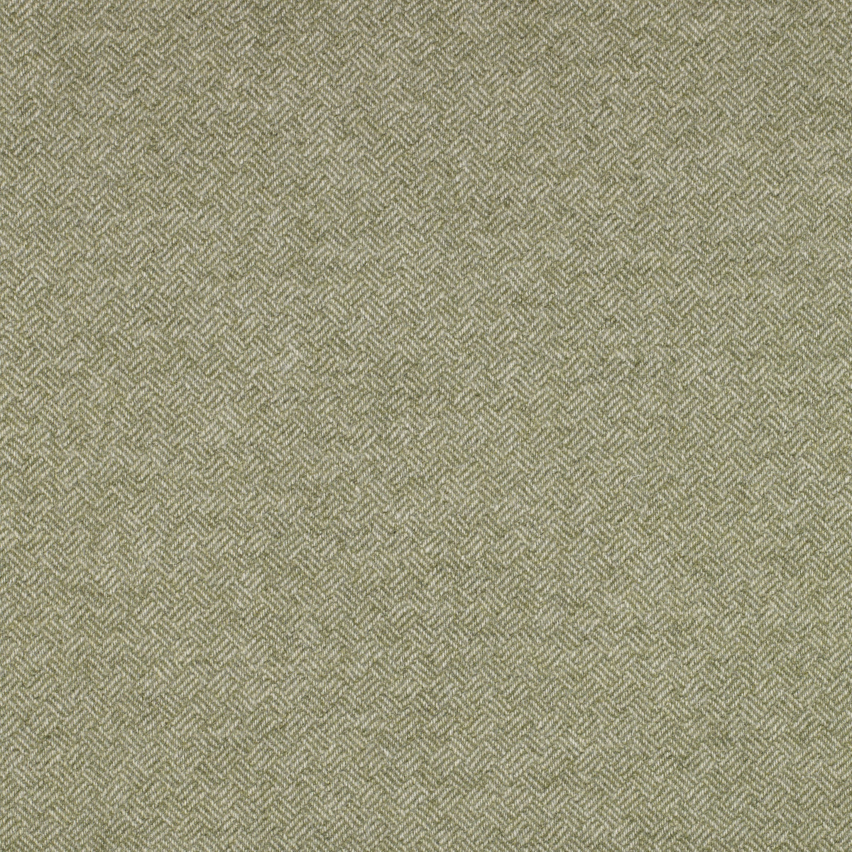 Parquet Wool Fabric by Abraham Moon Sage