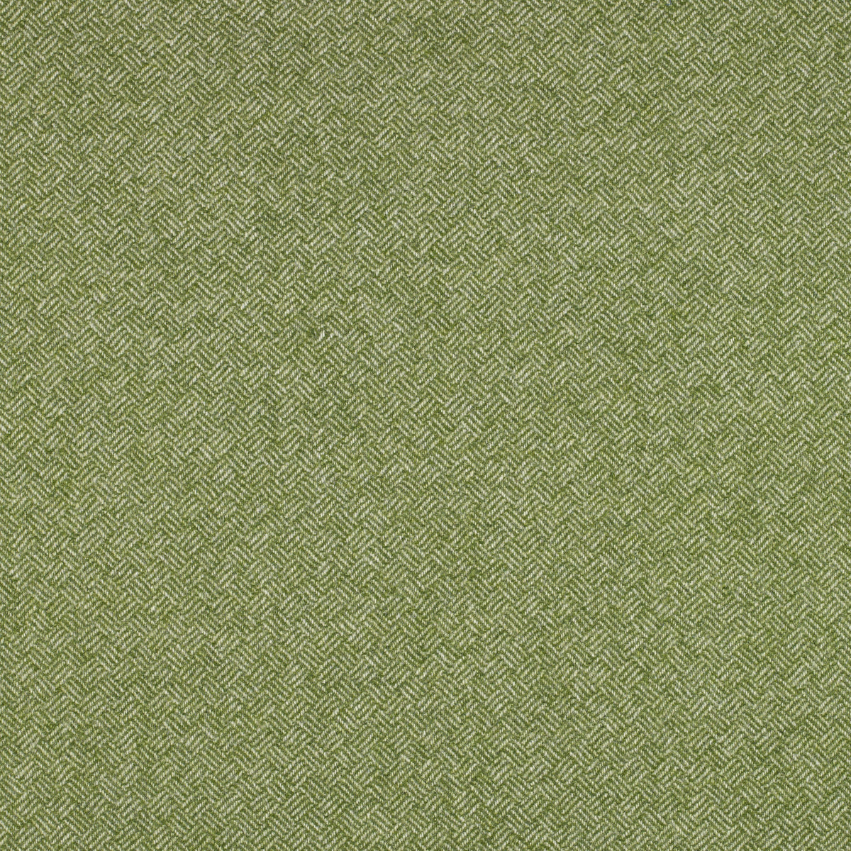Parquet Wool Fabric by Abraham Moon Green