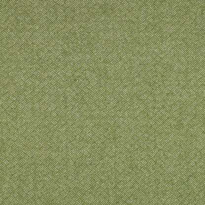 Parquet Wool Fabric by Abraham Moon Green