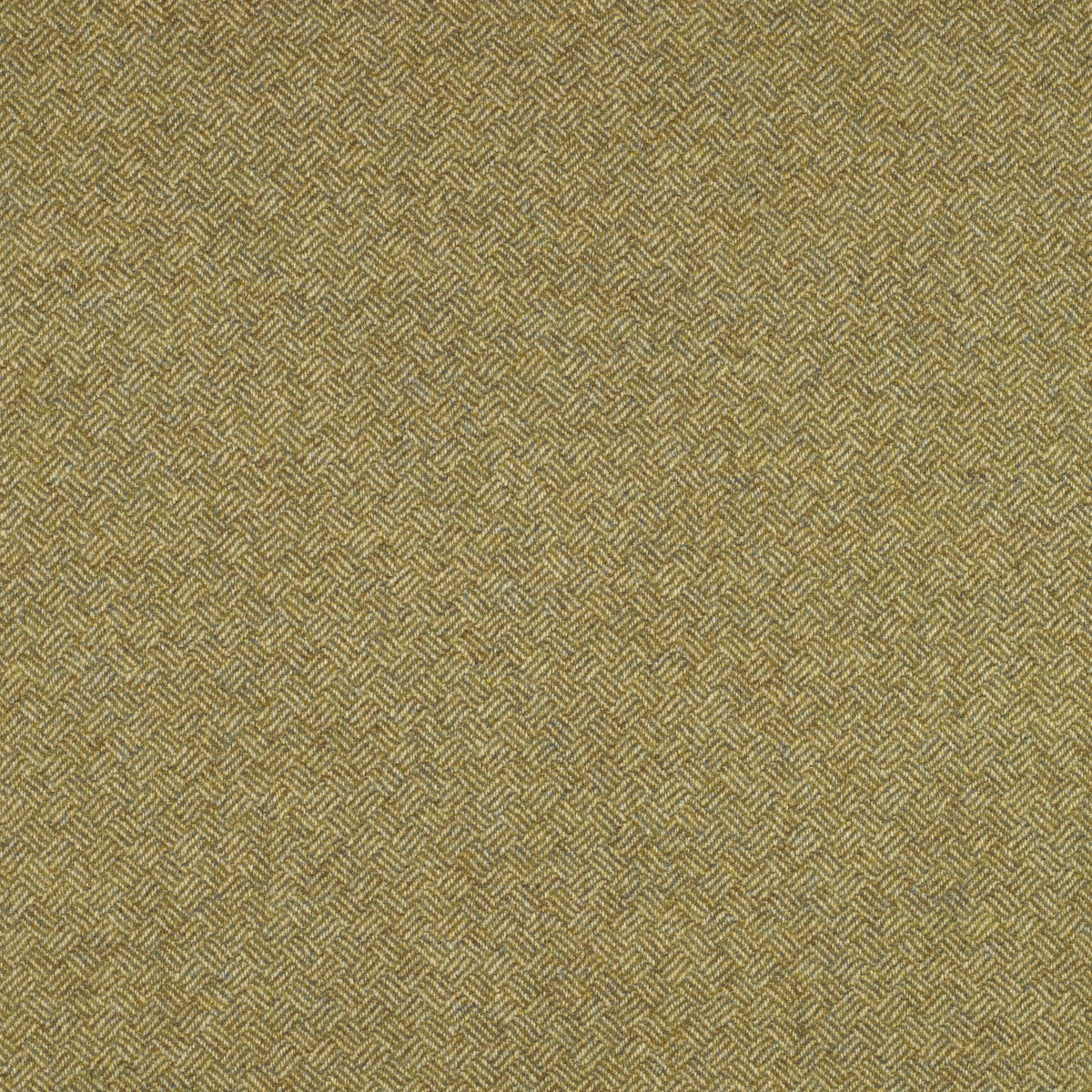 Parquet Wool Fabric by Abraham Moon Old Gold