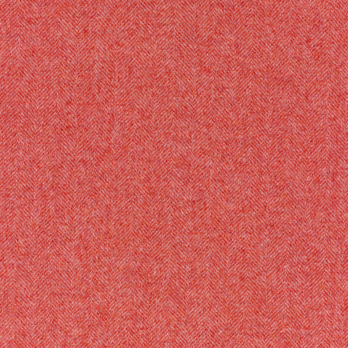 Herringbone Wool Fabric by Abraham Moon Flamingo