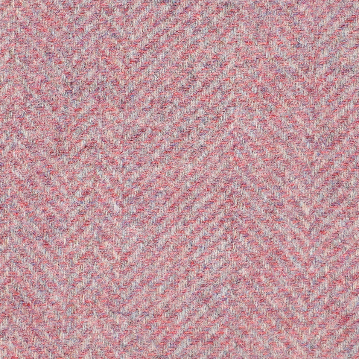 Glen Clova Wool Fabric by Abraham Moon Pink