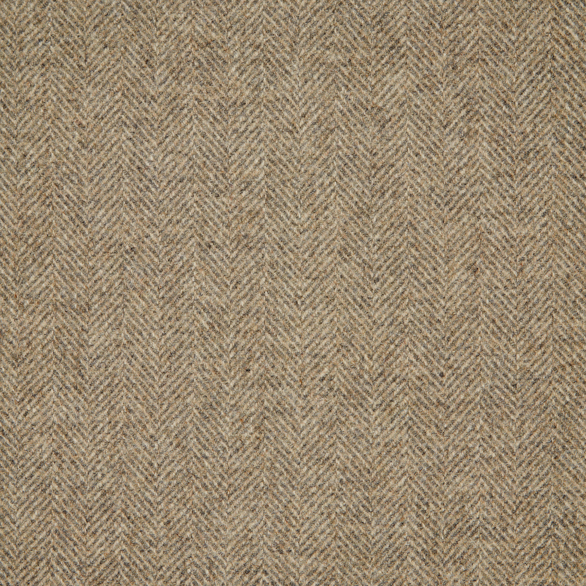 Herringbone Wool Fabric by Abraham Moon Bone