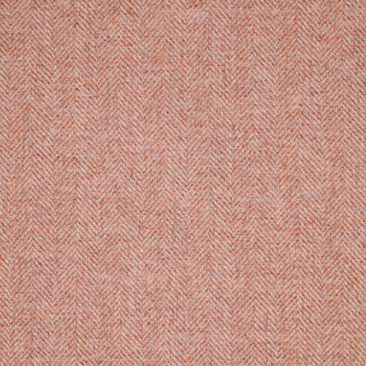 Herringbone Wool Fabric by Abraham Moon Blush